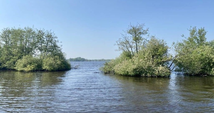 Foto van een waterrijk landschap